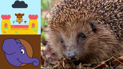 Die Sendung mit dem Elefanten: Wofür hat ein Igel so viele Stacheln?