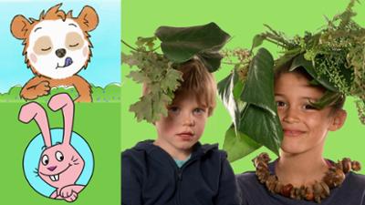 Die Sendung mit dem Elefanten: Was kann man alles im Wald finden?