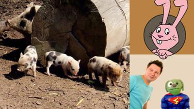 Die Sendung mit dem Elefanten: Neun kleine Ferkel