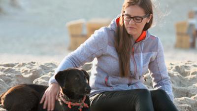 Die Tierärzte - Retter mit Herz: Das Zwischenzeugnis