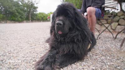 Die Tierärzte - Retter mit Herz: Mama ist die Beste