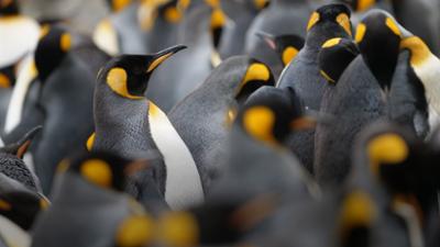 Ein Jahr auf unserer Erde: Folge 4: Winter