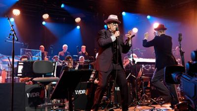 Elvis Costello meets WDR Bigband - Leverkusener Jazztage 2025: Elvis Costello meets WDR Bigband · Leverkusener Jazztage 2025