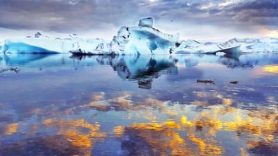 Erlebnis Erde: Magisches Island: Leben auf der größten Vulkaninsel der Welt
