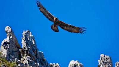 Erlebnis Erde: Wildes Italien (1/2) – Von den Alpen zur Toskana