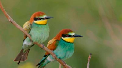Erlebnis Erde: Der wilde Norden: Das Mindener Land