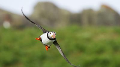 Erlebnis Erde: Wales, der Wilde Westen Großbritanniens: Stürmische Herbst-Gefahren