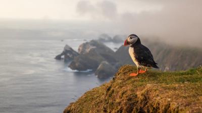 Erlebnis Erde: Unsere Meere - Unbekannte Nordsee (2/4)