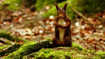 Erlebnis Erde: Die zauberhaften Vier: Unsere Jahreszeiten