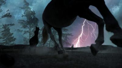 Erlebnis Erde: Der Sturm: Tiere bei Blitz und Donner