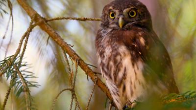 Erlebnis Erde: Wildes Wendland