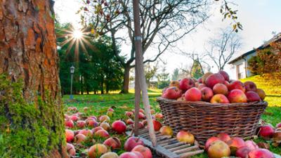 Erlebnis Erde: Geheimnisvoller Garten - Erntezeit