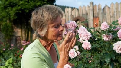 Garten & lecker: Romantischer Rosengarten im Sauerland