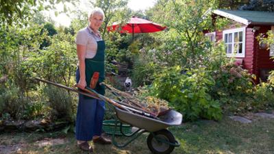 Garten & lecker: Wilder Schrebergarten mitten in Köln