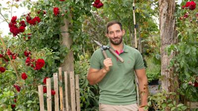 Garten & Lecker: Blumenkuchen aus dem Landgarten