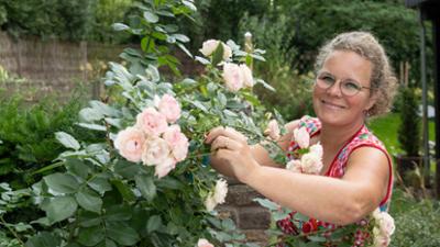 Garten und lecker: Little Britain in der Eifel