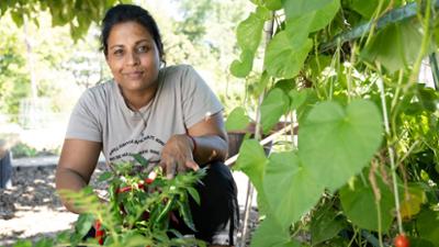 Garten & Lecker: "Summer of Love“: Finale im Gemeinschaftsgarten
