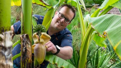 Garten & Lecker: Alles Banane: Exotengarten in Raesfeld