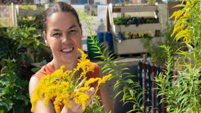Garten & Lecker: "Inselgrün": Ein Gemeinschaftsgarten in Stuttgart