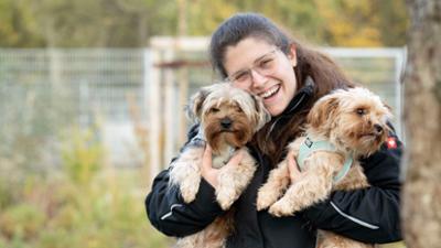 Hallo Tierheim!: 23 gerettete Yorkshire-Terrier – Tierheim Bergheim