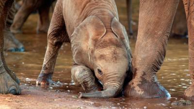 Kenia, eine Oase im Sand: Kenia – Eine Oase im Sand: Leben im Überfluss (1/2)