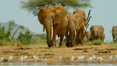 Kenia, eine Oase im Sand: Kenia – Eine Oase im Sand: Kampf ums Überleben (2/2)