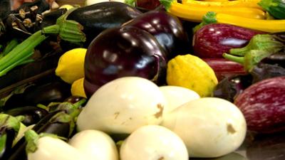 Kochen mit Martina und Moritz: Vielseitige Auberginen: Die besten Rezepte aus aller Welt