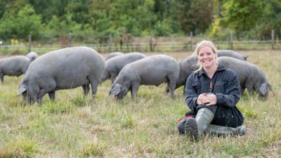 Land & lecker: Ibérico-Schweine aus dem Münsterland