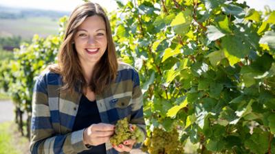 Land und lecker: Neuer Wein in alten Fässern aus Franken Land und lecker: Neuer Wein in alten Fässern aus Franken