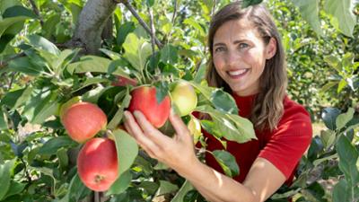 Land & lecker: Apfel, Birne und Pinsa vom Niederrhein