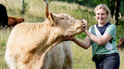 Land & lecker: Schottische Zottel im Hügelland