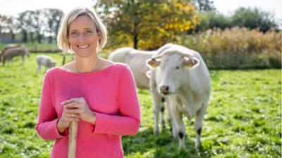 Land & lecker: Feines vom blonden Rind im Münsterland