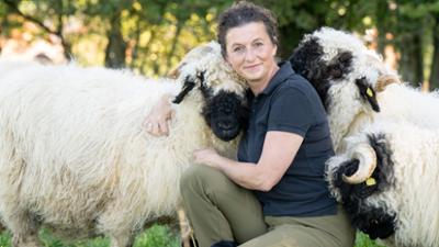 Land & lecker: Schwarznasenschafe aus Oberbayern