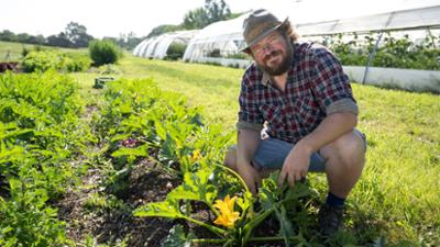 Land & lecker: Frisches Gemüse aus der Kölner Bucht