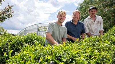 Lecker an Bord: Ostfriesische Teekultur
