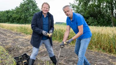 Lecker an Bord: Longhorn-Rinder und Wattknollen