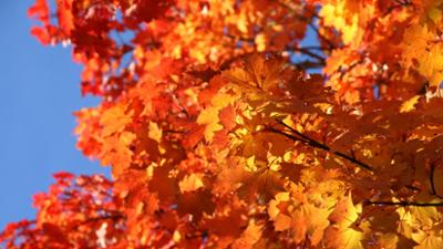 Lokalzeit Geschichten: Licht und Schatten