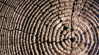 Lokalzeit Geschichten: Besondere Lebenslinien