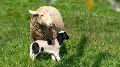 Lokalzeit Geschichten: Lebensfreude zu Ostern