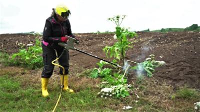 Lokalzeit Geschichten: Reiche Ernte