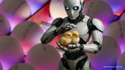 Lokalzeit LandSchafft: Einer der letzten Geflügelbetriebe kämpft: Geschlechterbestimmung im Ei mit KI