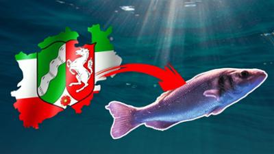 Lokalzeit LandSchafft: Salzwasserfische made in NRW: Landwirtin setzt auf Fischzucht im Münsterland