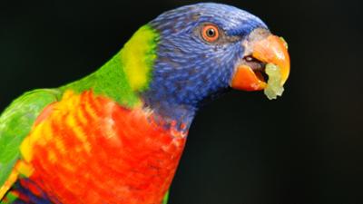 Neues aus dem Münchner Tierpark Hellabrunn: Zu Besuch bei Lieblingstieren (F. 03)