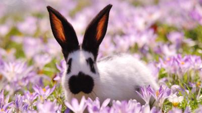 Neues aus dem Münchner Tierpark Hellabrunn: Frohe Ostern im Tierpark (F. 13)