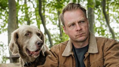 Nord bei Nordwest: Kobold Nr. Vier