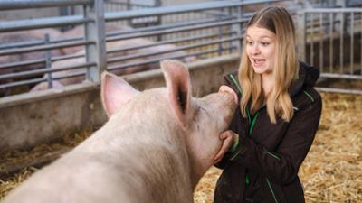 Passt, wackelt und hat Luft: Folge 3: Neele wird Landwirtin – Schlachten gehört dazu