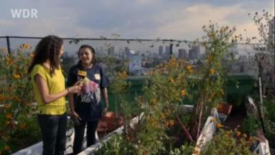 Planet Schule: La escuela en Cuba · ¡Pregunta ya!