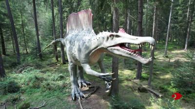Planet Schule: Dinosaurier-Wissen in Gebärdensprache Planet Schule: Dinosaurier-Wissen in Gebärdensprache