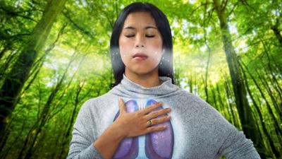 Quarks: Erstmal Luft holen: Was wir über das Atmen wissen