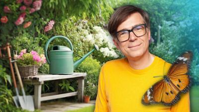 Quarks: Grünes Glück ohne Stress: So werden Balkon und Garten zum Paradies für Arten